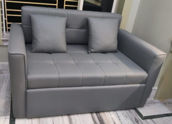 Plush Comfort Sofa Cum Bed
